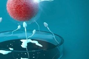 晋中试管婴儿医院预算15万够吗？