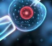 全面解析美国第三代试管婴儿的费用构成及具体花费明细