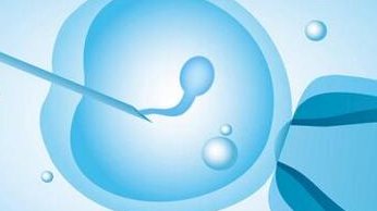 试管单胎比成功率高吗(试管单胎成功率高还是成功率高)