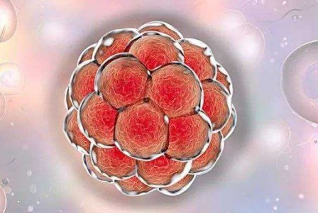 第三代试管助孕生子需要多少费用？2026年试管费用解读