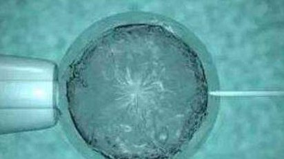 吃货们注意了，调整饮食，为试管成功率加把